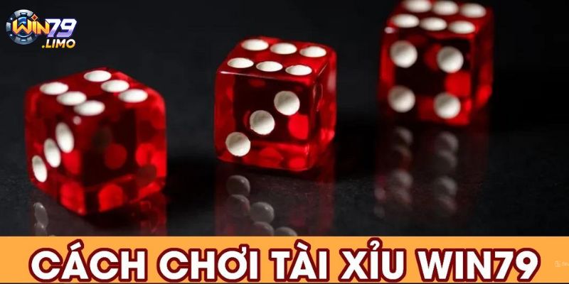 Cược tổng mang đến cơ hội giành chiến thắng cao ngất